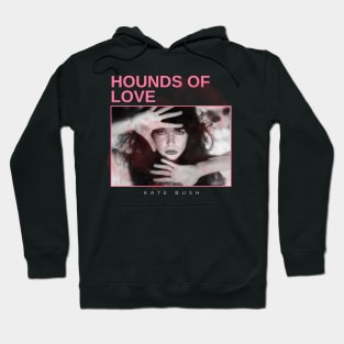 hounds of love - vintage minimalism Hoodie